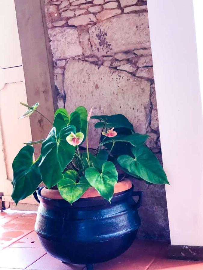 Pousada Colonial Penedo - Alagoas Εξωτερικό φωτογραφία